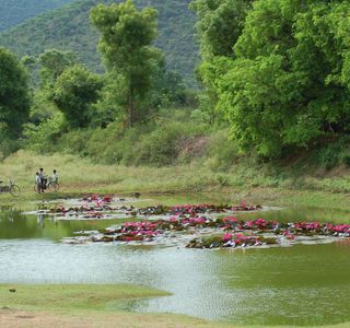 Nilgiri Biosphere Reserve