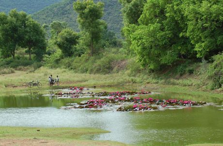 Nilgiri Biosphere Reserve