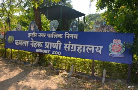 Kamla Nehru Prani Sangrahalay