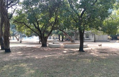 Patha Bhavan