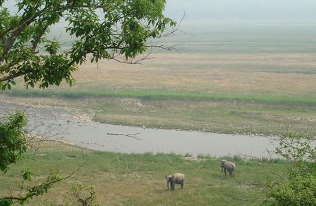 Sonanadi River