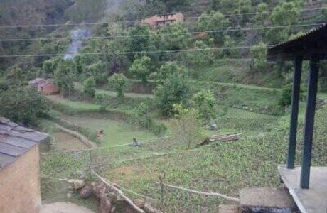 Mandal River