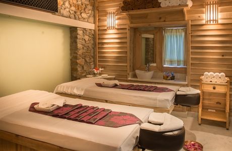 The Little Salon & Spa Shed