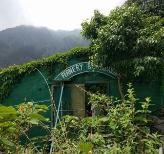 Himalayan Botanical Garden