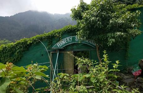 Himalayan Botanical Garden