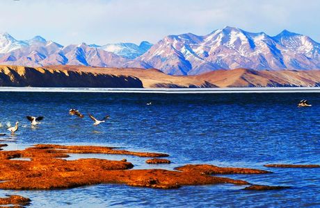 Mansarovar Dam and Lake