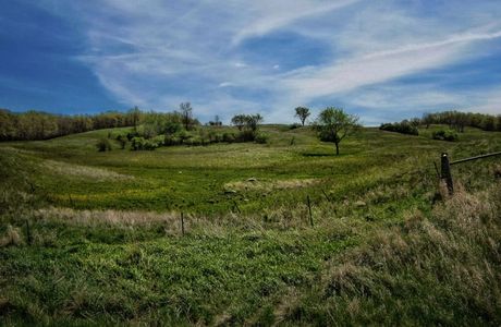Grass Hills