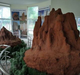 Insect Museum, TNAU