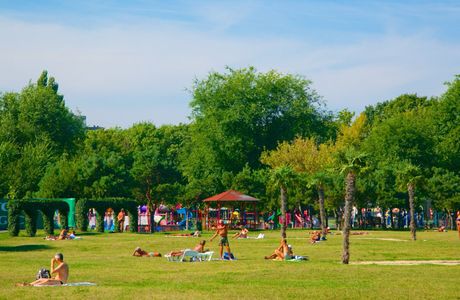 Tineretului Park