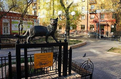 Irkutskaya Koshka