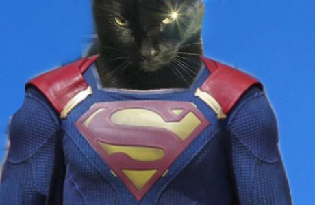 SuperCat