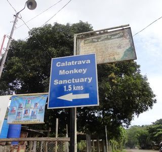 Calatrava Monkey Sanctuary