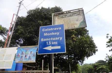 Calatrava Monkey Sanctuary