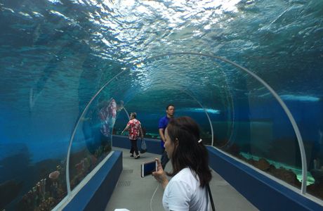 Cebu Ocean Park
