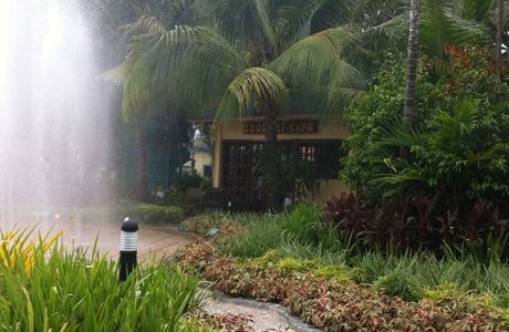 Rainforest Park Cebu