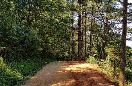 Gyejoksan Mountain Red Clay Trail