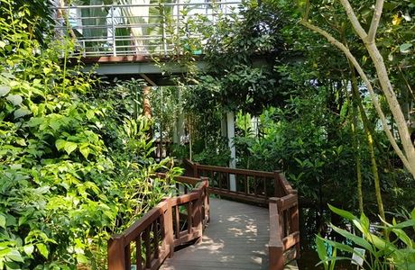 Tropical Botanical Garden