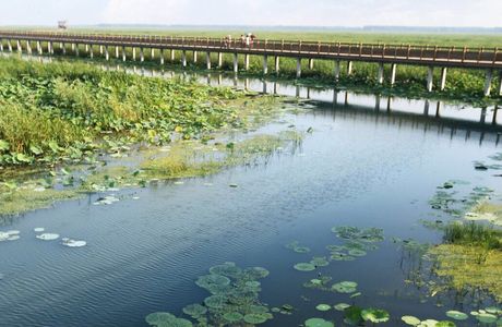 Sunpo Wetlands