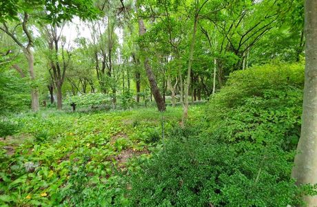 Daegu Arboretum