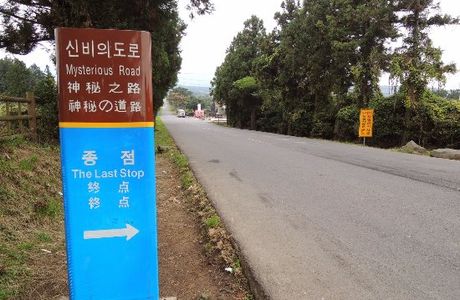 Mysterious Road (Dokkaebi Road)