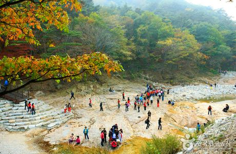 Osaek Carbonated Hot Springs