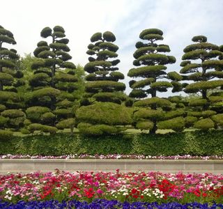 UN Memorial Cemetery