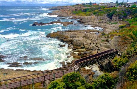 Hermanus Cliff Path