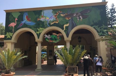 Monte casino bird park