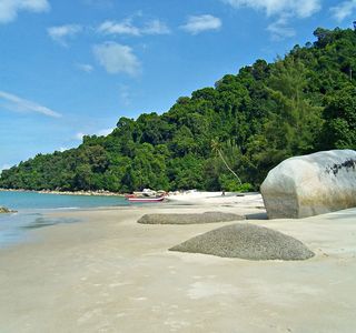 Monkey Beach