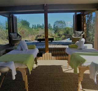 Forest Colour Spa
