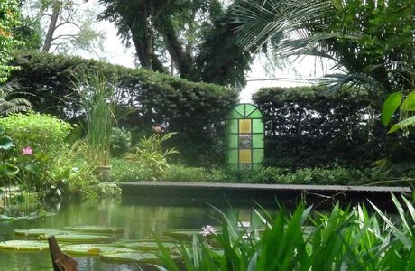 Tropical Spice Garden