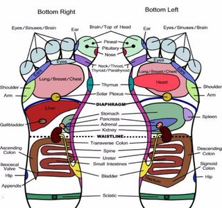 Dynasty Foot Reflexology