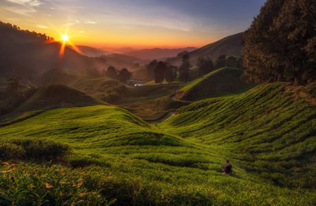 The Highlands