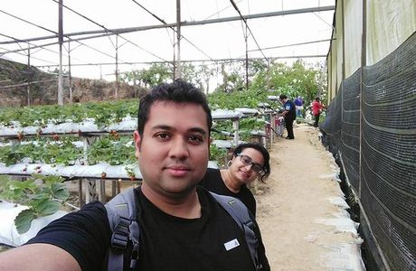 Raju Hill Strawberry Farm