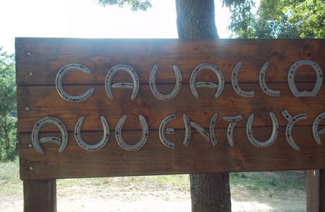Tenuta IL Prato