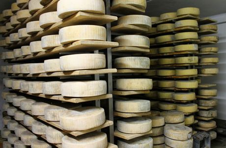 Azienda Agricola Waister Di Rela Riccardo