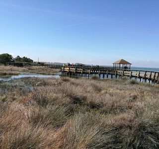 Il Giardino Botanico di Porto Caleri