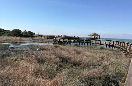 Il Giardino Botanico di Porto Caleri