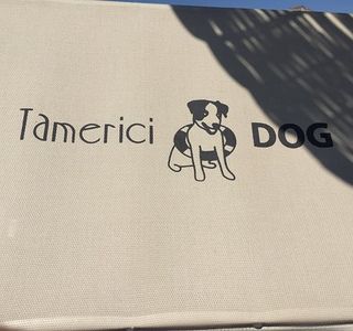 Bagno Tamerici Dog