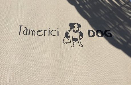 Bagno Tamerici Dog