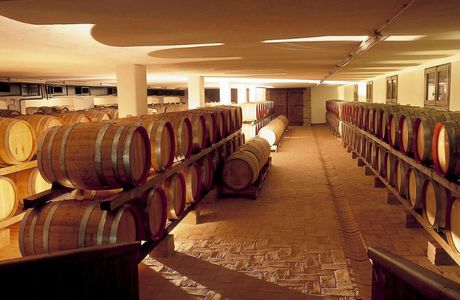 Cantine Paladin