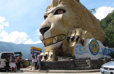 Lion Park
