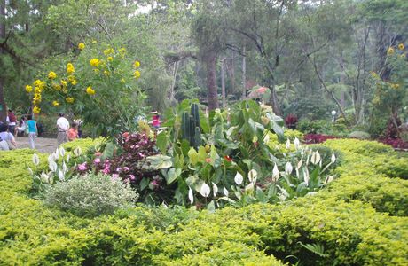 Baguio Botanical Garden