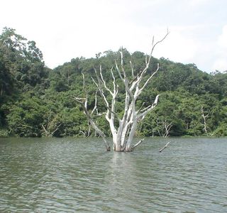 Lake Manguao