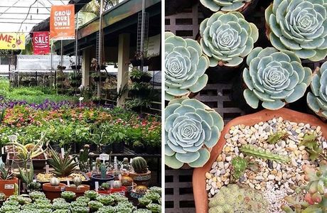 Cedarhills Garden Center