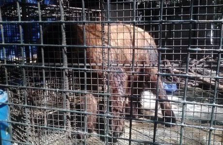 Malabon Zoo