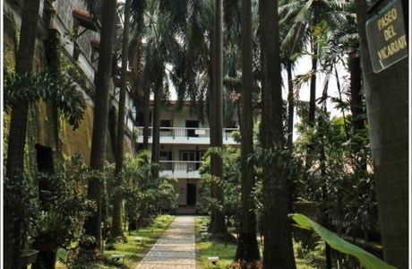 Father Blanco's Garden