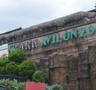 Ark Avilon Zoo