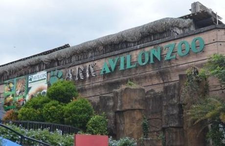 Ark Avilon Zoo