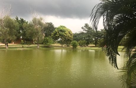 Vallazoo
